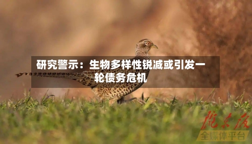 研究警示:生物多样性锐减或引发一轮债务危机-第3张图片