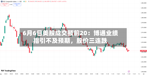 6月6日美股成交额前20：博通业绩指引不及预期，股价三连跌-第2张图片