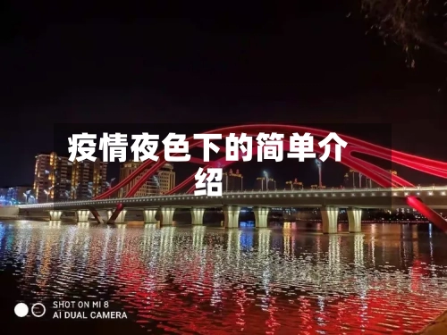 疫情夜色下的简单介绍-第2张图片
