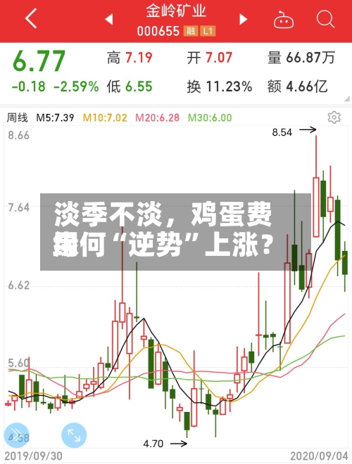 淡季不淡，鸡蛋费用缘何“逆势	”上涨？-第2张图片
