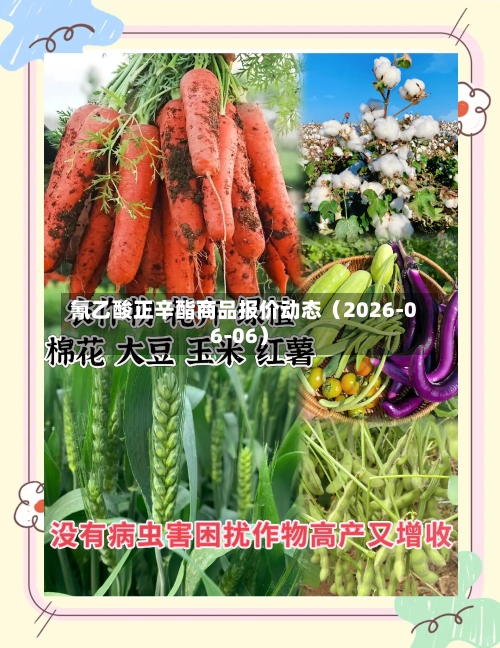 氰乙酸正辛酯商品报价动态（2026-06-06）-第3张图片
