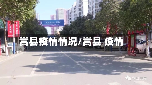 嵩县疫情情况/嵩县 疫情