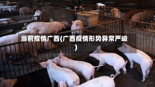 当前疫情广西(广西疫情形势异常严峻)