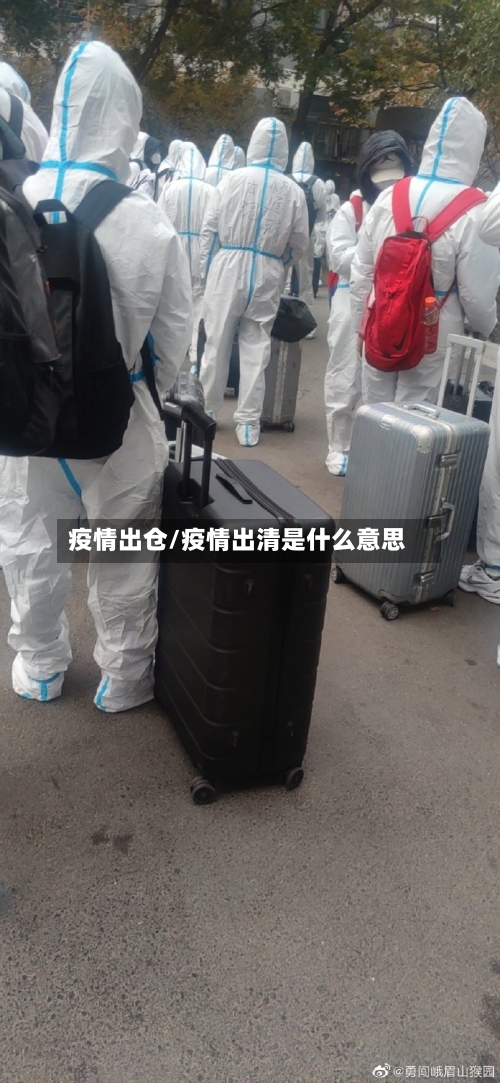 疫情出仓/疫情出清是什么意思