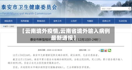 【云南境外疫情,云南省境外输入病例最新通报】-第2张图片
