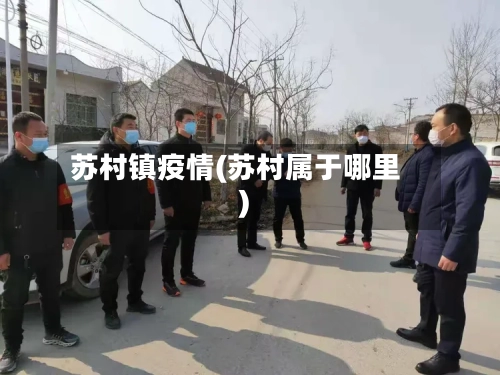 苏村镇疫情(苏村属于哪里)-第2张图片