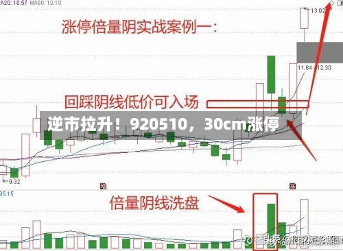 逆市拉升！920510，30cm涨停-第3张图片