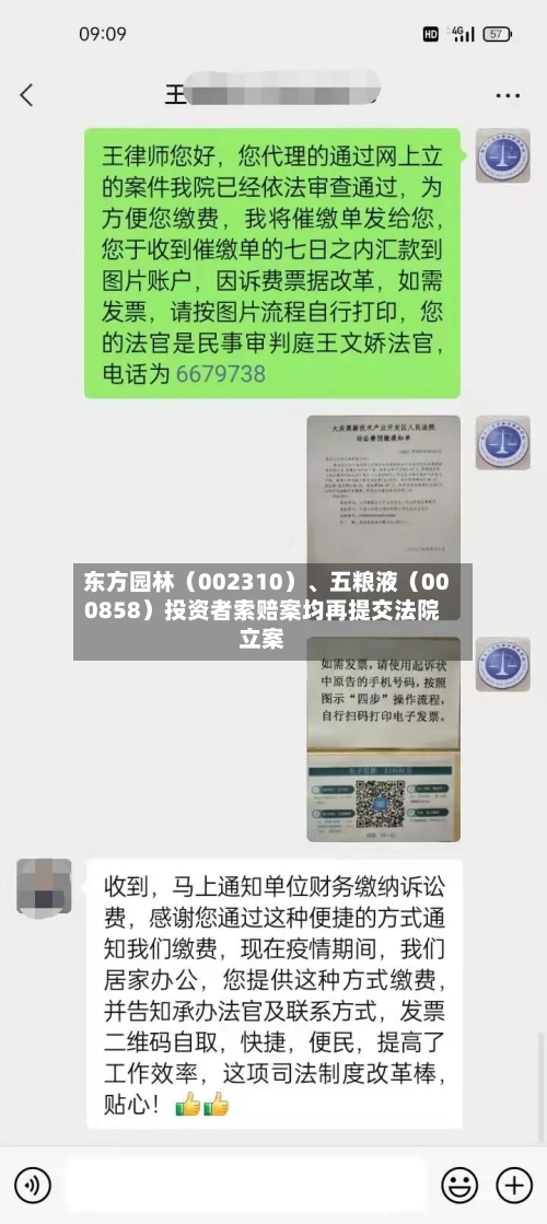 东方园林（002310）、五粮液（000858）投资者索赔案均再提交法院立案-第2张图片