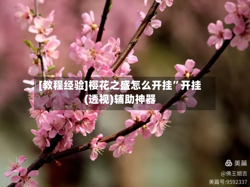 [教程经验]樱花之盛怎么开挂”开挂(透视)辅助神器