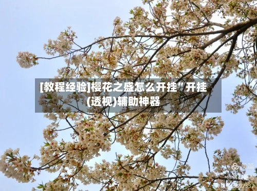 [教程经验]樱花之盛怎么开挂”开挂(透视)辅助神器-第2张图片