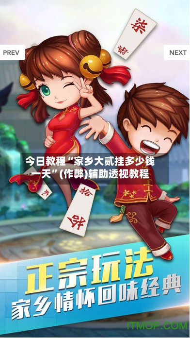 今日教程“家乡大贰挂多少钱一天”(作弊)辅助透视教程-第3张图片
