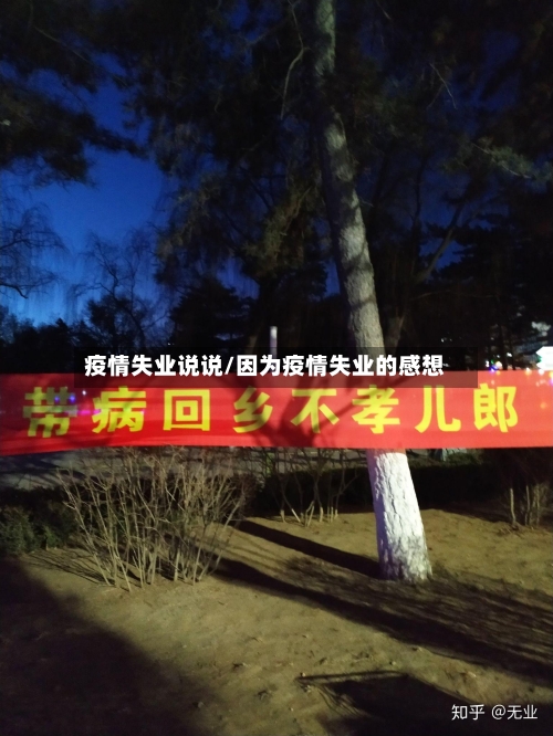 疫情失业说说/因为疫情失业的感想-第2张图片