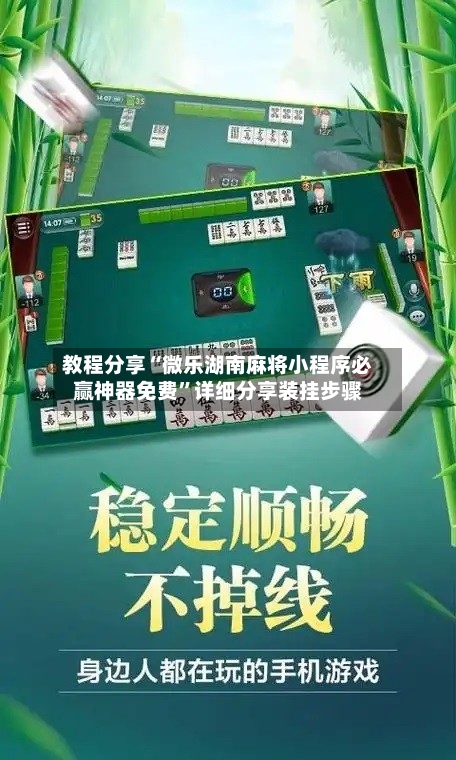 教程分享“微乐湖南麻将小程序必赢神器免费”详细分享装挂步骤-第2张图片