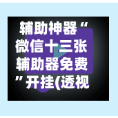 辅助神器“微信十三张辅助器免费	”开挂(透视)最新辅助详细-第2张图片