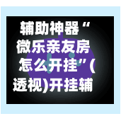 辅助神器“微乐亲友房怎么开挂”(透视)开挂辅助脚本+详细开挂安装教程-第3张图片