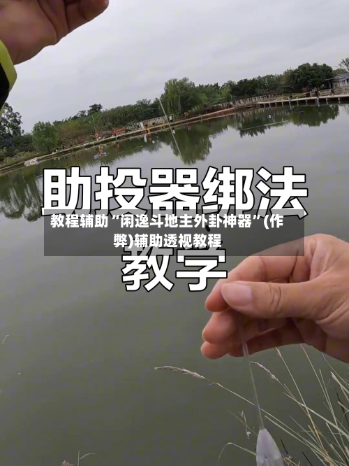 教程辅助“闲逸斗地主外卦神器”(作弊)辅助透视教程-第3张图片