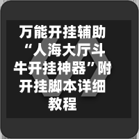 万能开挂辅助“人海大厅斗牛开挂神器”附开挂脚本详细教程-第2张图片