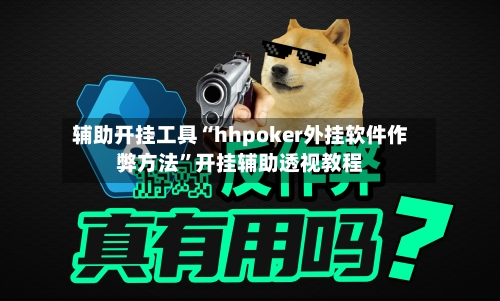 辅助开挂工具“hhpoker外挂软件作弊方法	”开挂辅助透视教程-第2张图片