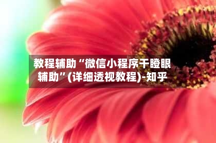 教程辅助“微信小程序干瞪眼辅助”(详细透视教程)-知乎-第2张图片