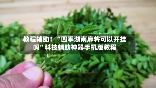 教程辅助！“四季湖南麻将可以开挂吗	”科技辅助神器手机版教程-第2张图片