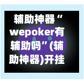 辅助神器“wepoker有辅助吗”(辅助神器)开挂详细教程-第2张图片