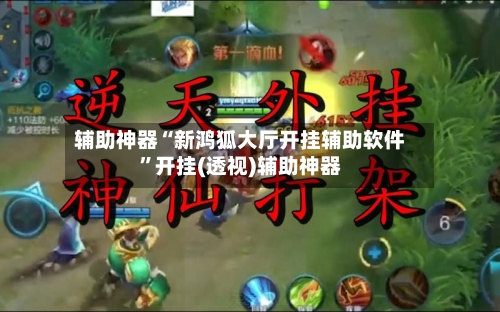 辅助神器“新鸿狐大厅开挂辅助软件”开挂(透视)辅助神器-第3张图片