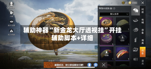 辅助神器“新金龙大厅透视挂”开挂辅助脚本+详细-第3张图片