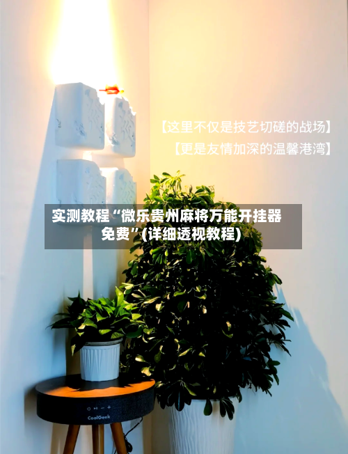 实测教程“微乐贵州麻将万能开挂器免费”(详细透视教程)-第2张图片