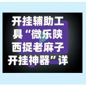 开挂辅助工具“微乐陕西捉老麻子开挂神器”详细分享装挂步骤教程-第3张图片