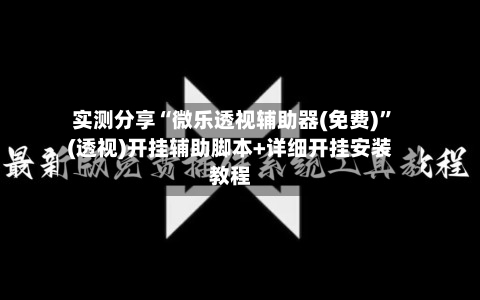实测分享“微乐透视辅助器(免费)”(透视)开挂辅助脚本+详细开挂安装教程-第2张图片