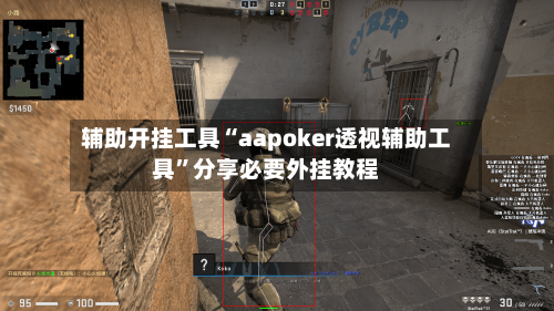 辅助开挂工具“aapoker透视辅助工具”分享必要外挂教程-第3张图片