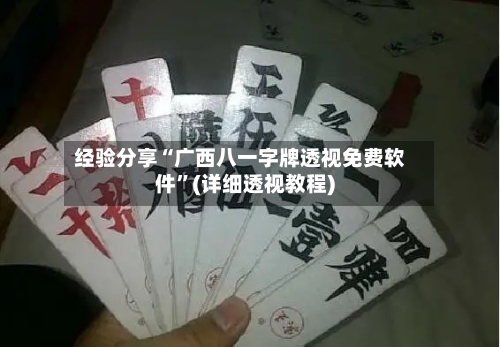 经验分享“广西八一字牌透视免费软件”(详细透视教程)-第2张图片