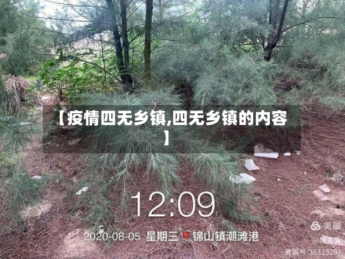 【疫情四无乡镇,四无乡镇的内容】-第2张图片