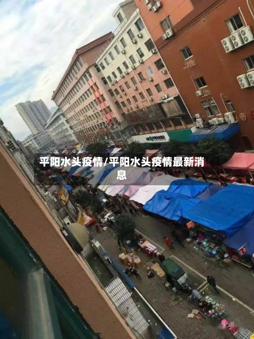 平阳水头疫情/平阳水头疫情最新消息