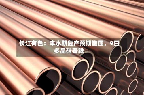 长江有色：丰水期复产预期施压	，9日多晶硅看跌-第2张图片