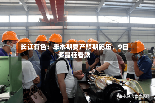 长江有色：丰水期复产预期施压，9日多晶硅看跌-第3张图片