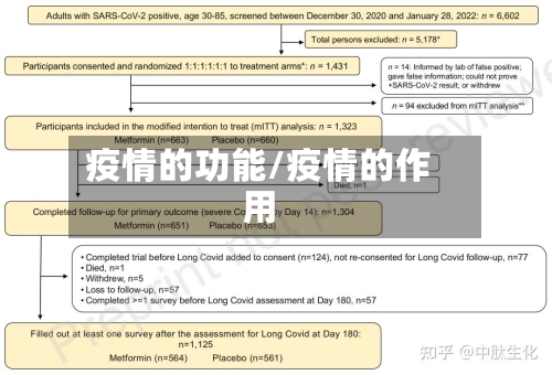 疫情的功能/疫情的作用
