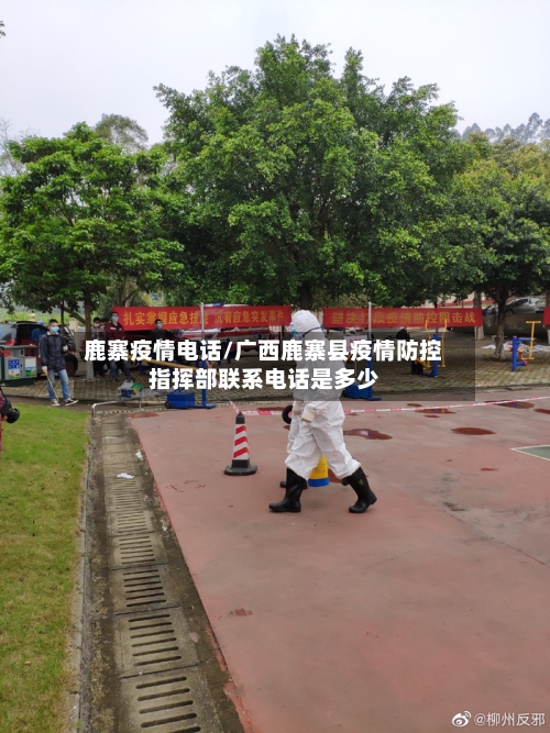 鹿寨疫情电话/广西鹿寨县疫情防控指挥部联系电话是多少-第2张图片