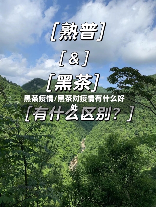 黑茶疫情/黑茶对疫情有什么好处-第2张图片