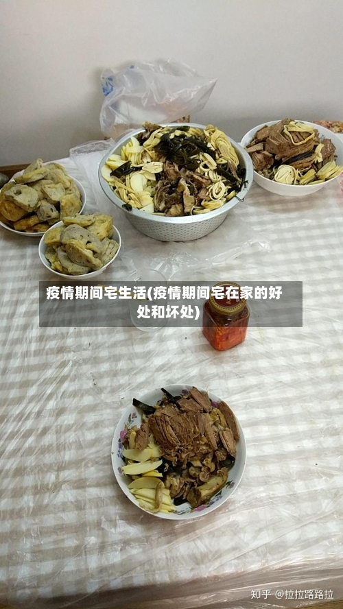 疫情期间宅生活(疫情期间宅在家的好处和坏处)