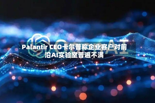 Palantir CEO卡尔普称企业客户对前沿AI实验室普遍不满-第2张图片