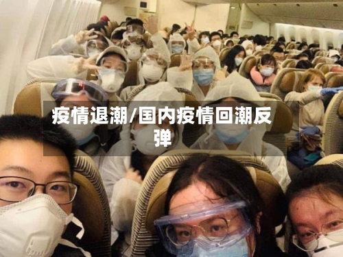 疫情退潮/国内疫情回潮反弹