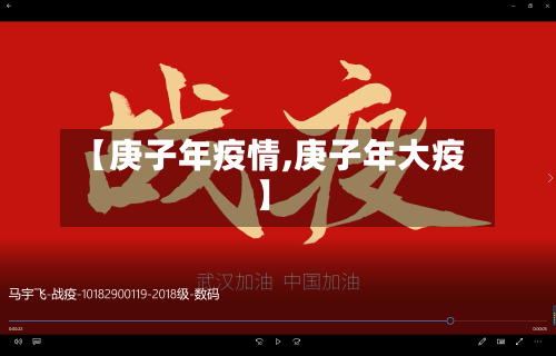 【庚子年疫情,庚子年大疫】-第3张图片