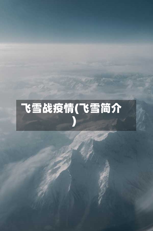 飞雪战疫情(飞雪简介)