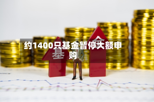 约1400只基金暂停大额申购-第2张图片