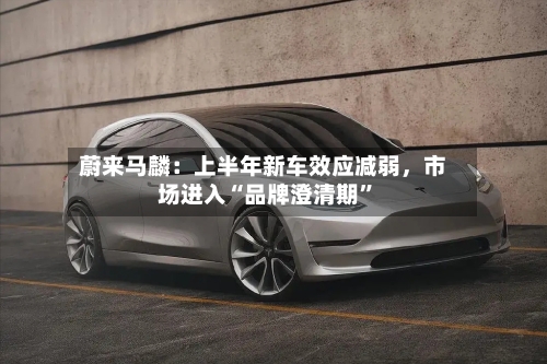 蔚来马麟：上半年新车效应减弱，市场进入“品牌澄清期	”-第2张图片