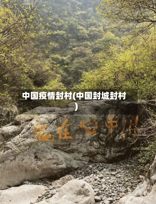 中国疫情封村(中国封城封村)-第2张图片
