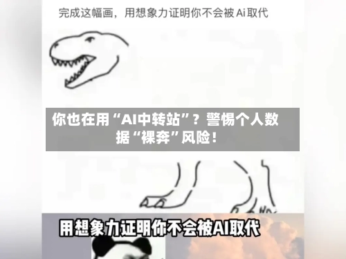 你也在用“AI中转站	”？警惕个人数据“裸奔”风险！-第3张图片