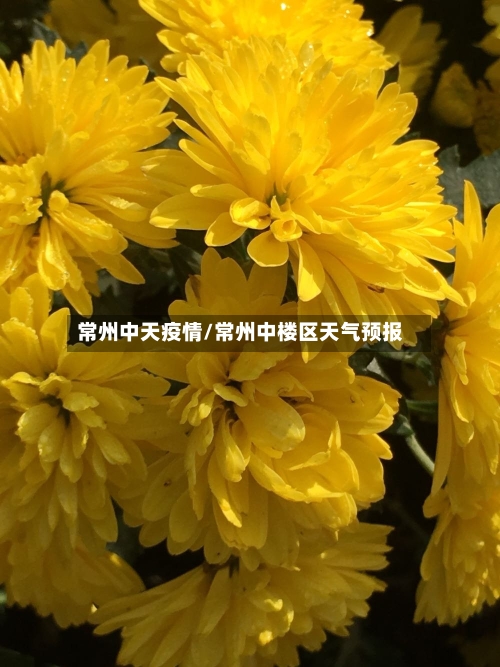 常州中天疫情/常州中楼区天气预报