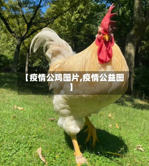 【疫情公鸡图片,疫情公益图】